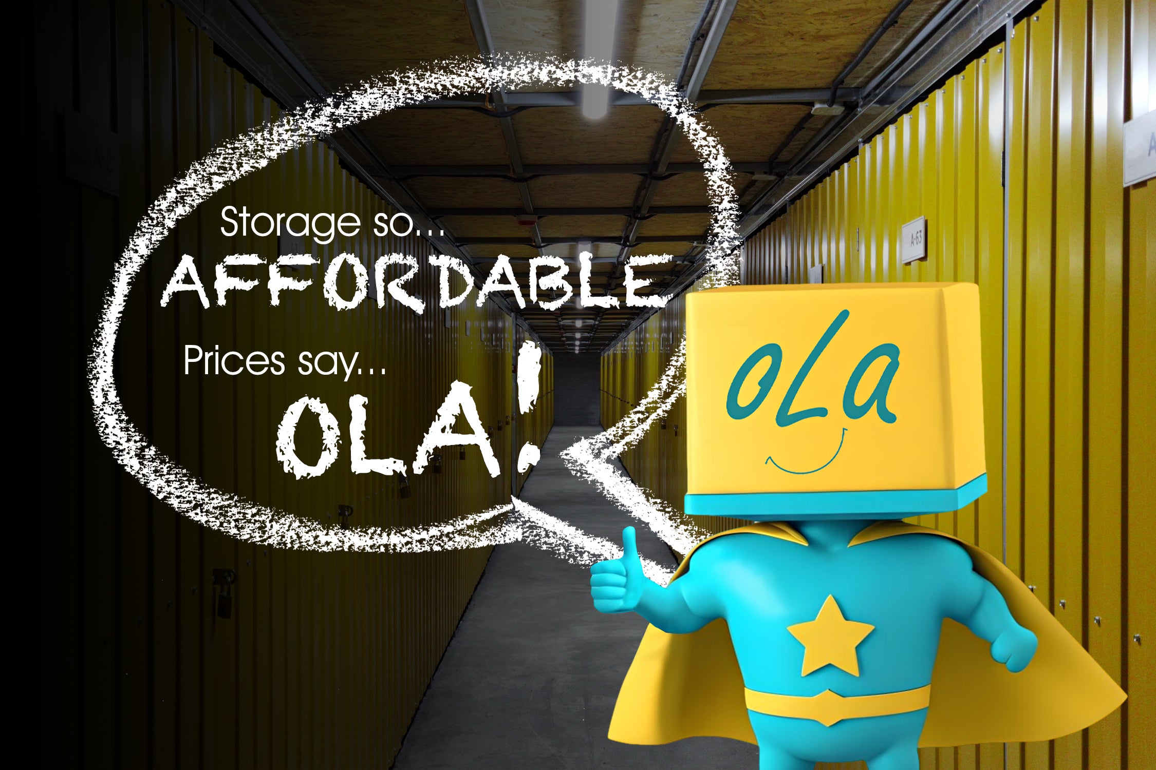 OLA Storage Banner 1